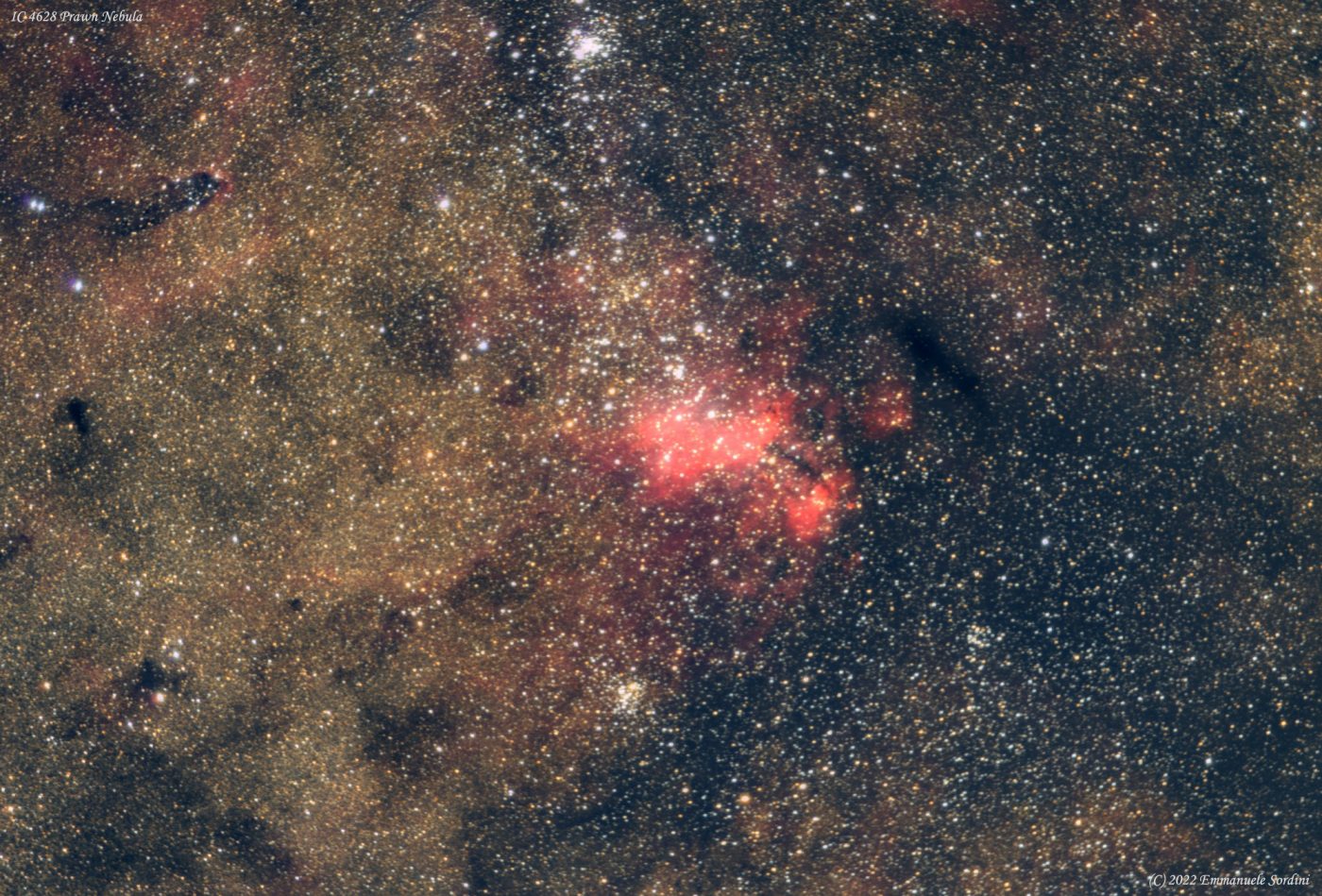 IC 4628 Prawn Nebula