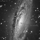 A bright supernova in NGC 7331