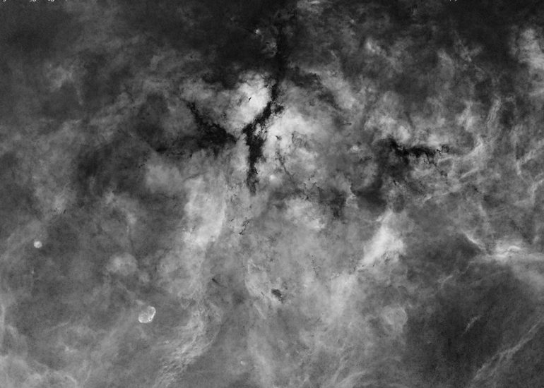 Wide-field Sadr region (starless)