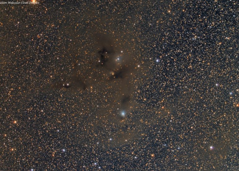 Chamaeleon Cloud Complex