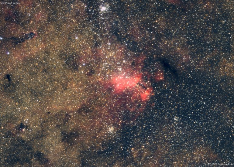 IC 4628 Prawn Nebula
